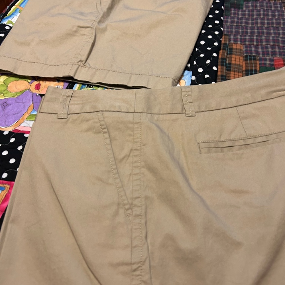 JCrew Shorts Size 10